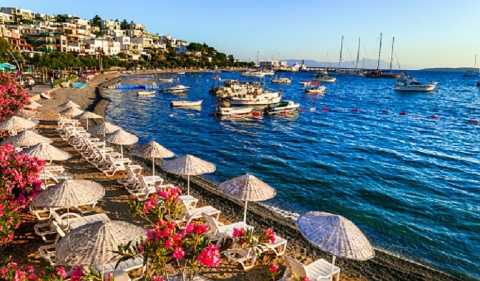 Ученый предупредил об опасных медузах на пляжах Антальи - фото