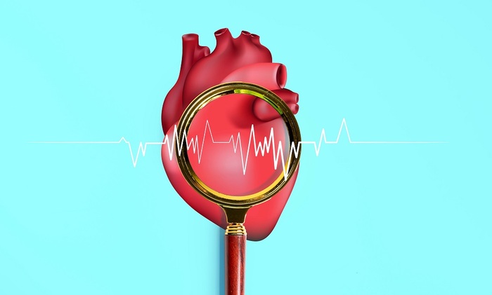 Сердце: техосмотр для «пламенного мотора» - фото