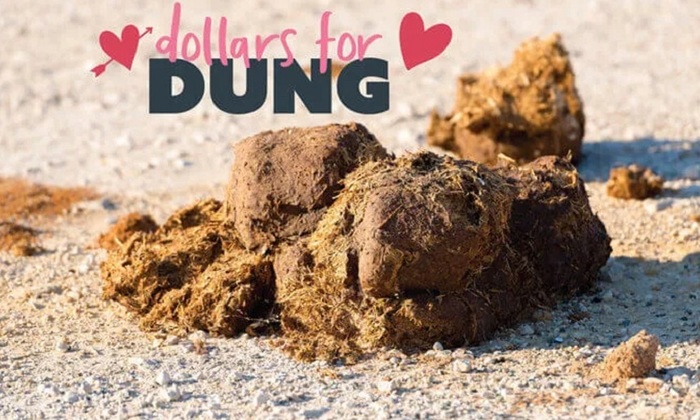 Навоз в качестве мести - фото