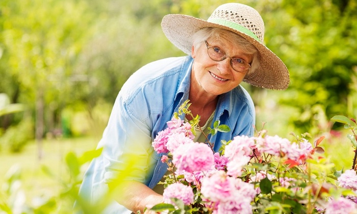 Ученые выяснили, что садоводство помогает снизить симптомы депрессии у пожилых - фото