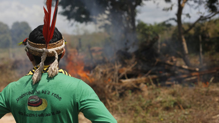 Индейцы готовы умереть за свой лес - фото