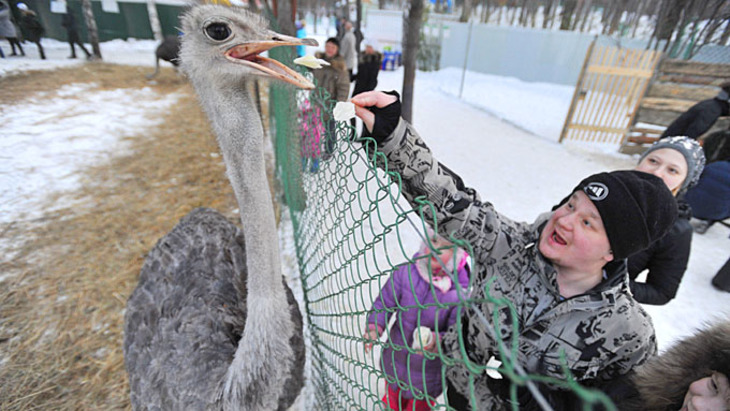 В России зоопарк оказался рассадником садизма - фото