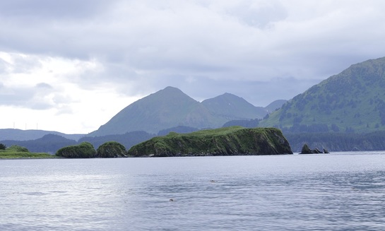 Почему Россия отказалась от Аляски и Форт-Росса и на что потратила вырученные за земли деньги? - фото