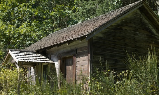 Четыре главные «засады» дачников - фото