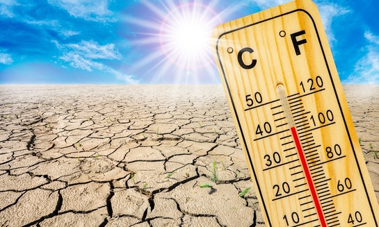 Экстремальная жара станет нормой на тысячу лет - фото