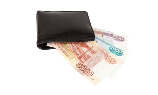 Россияне назвали уровень дохода, с которого начинается бедность - фото