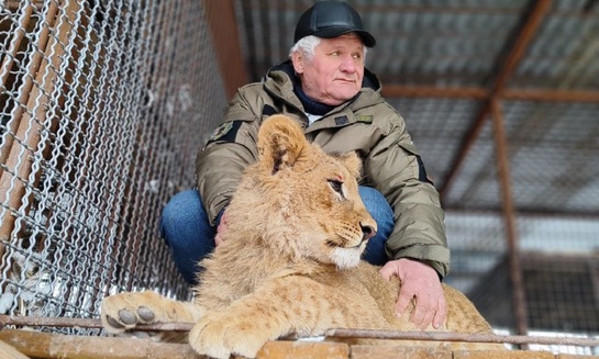 Зоопарк под Донецком: жизнь под обстрелами