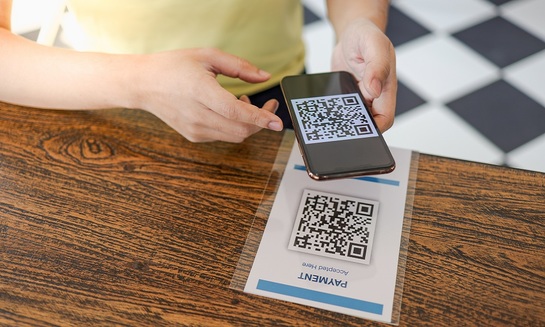 В России ширится цифровое мошенничество