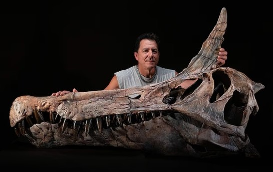 В Сахаре обнаружили новый «драконоподобный» вид динозавра - фото