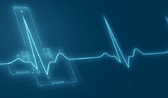 Ученые доказали способность COVID-19 напрямую заражать ткани сердца - фото