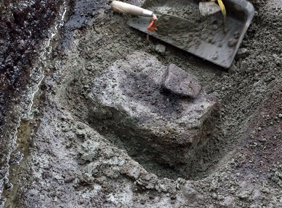 Археологи обнаружили окаменевший след, которому более 13 тысяч лет