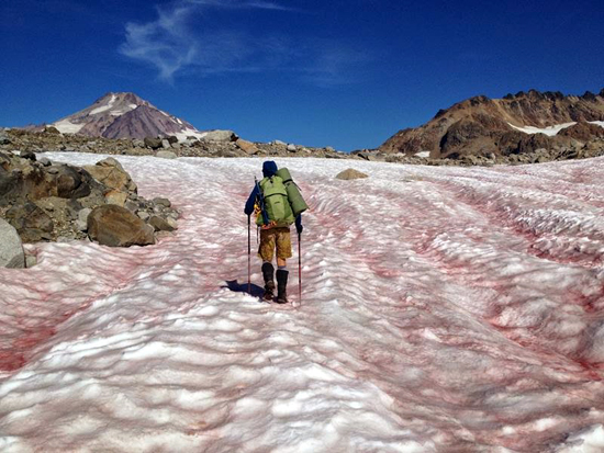 В горах Хакассии нашли редкое явление природы - красный снег