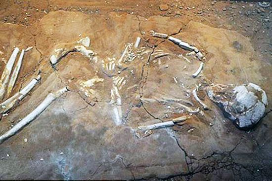 Археологи обнаружили древнегреческие могилы зомби